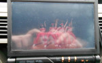 Autoradio Kenwood 524DVD – fotka 3